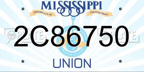 2C86750 Mississippi License Plate