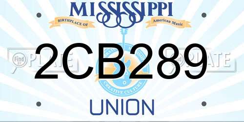 2CB289 Mississippi License Plate