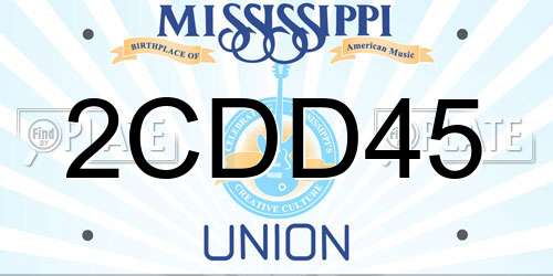 2CDD45 Mississippi License Plate