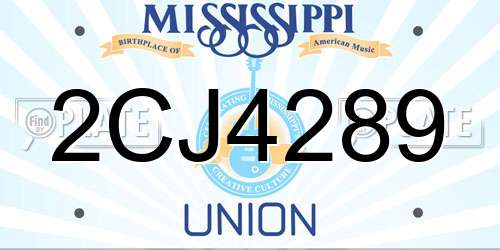 2CJ4289 Mississippi License Plate