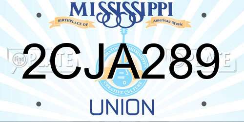 2CJA289 Mississippi License Plate