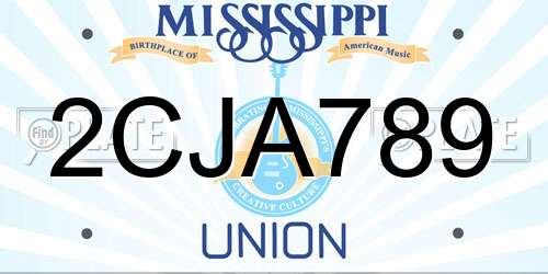2CJA789 Mississippi License Plate