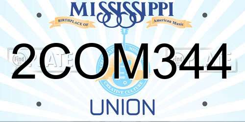 2COM344 Mississippi License Plate