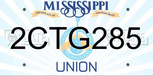 2CTG285 Mississippi License Plate