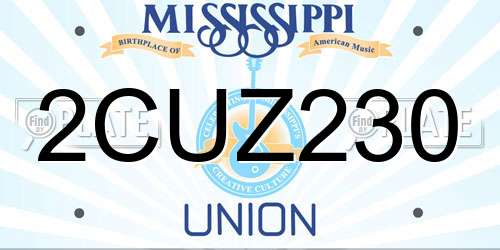 2CUZ230 Mississippi License Plate