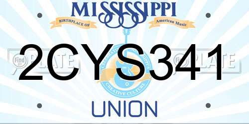 2CYS341 Mississippi License Plate