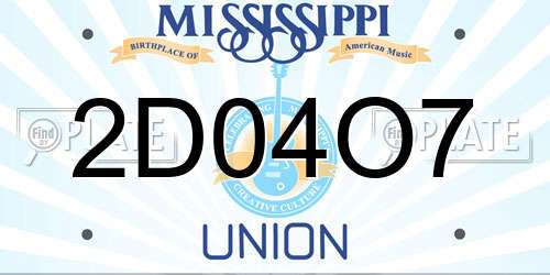 2D04O7 Mississippi License Plate