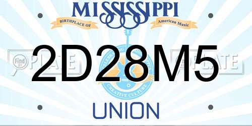 2D28M5 Mississippi License Plate