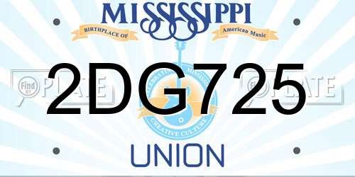 2DG725 Mississippi License Plate