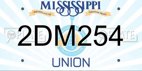2DM254 Mississippi License Plate
