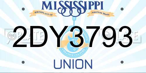 2DY3793 Mississippi License Plate