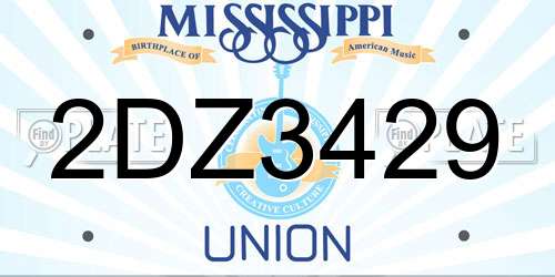 2DZ3429 Mississippi License Plate