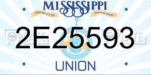 2E25593 Mississippi License Plate