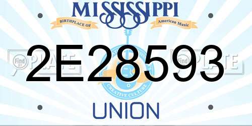 2E28593 Mississippi License Plate