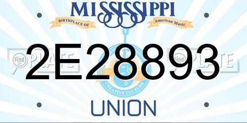 2E28893 Mississippi License Plate