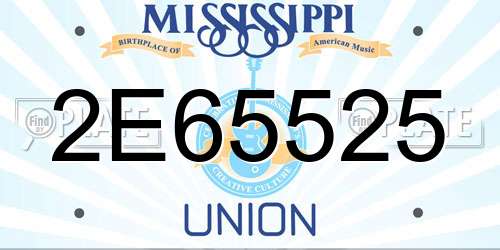 2E65525 Mississippi License Plate