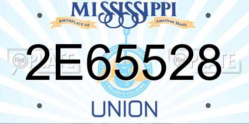 2E65528 Mississippi License Plate