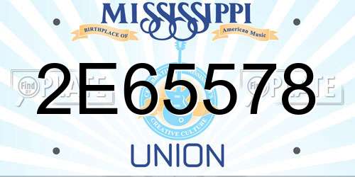 2E65578 Mississippi License Plate