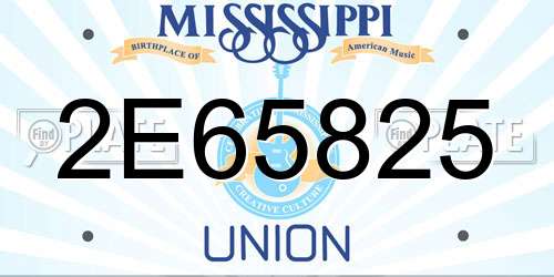 2E65825 Mississippi License Plate