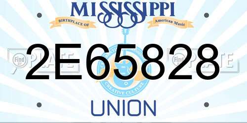 2E65828 Mississippi License Plate