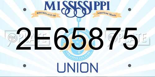 2E65875 Mississippi License Plate