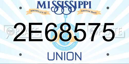2E68575 Mississippi License Plate
