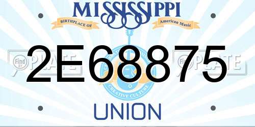 2E68875 Mississippi License Plate