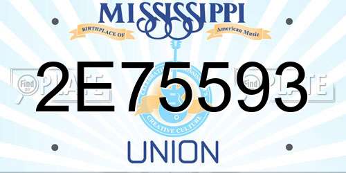 2E75593 Mississippi License Plate
