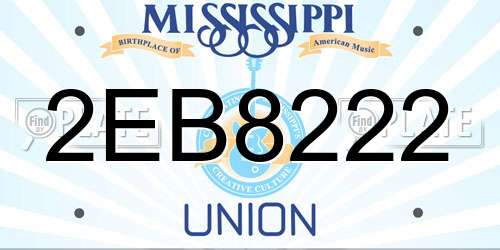 2EB8222 Mississippi License Plate