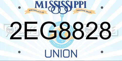 2EG8828 Mississippi License Plate