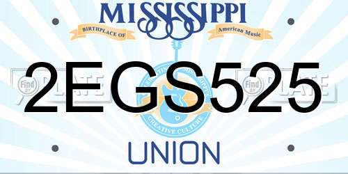 2EGS525 Mississippi License Plate