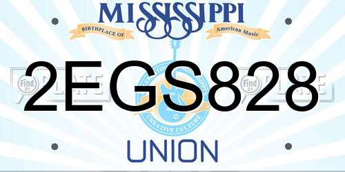 2EGS828 Mississippi License Plate