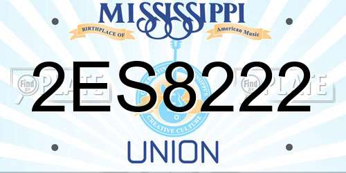 2ES8222 Mississippi License Plate