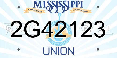 2G42123 Mississippi License Plate