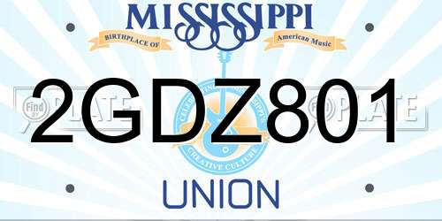 2GDZ801 Mississippi License Plate
