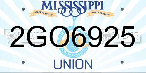2GO6925 Mississippi License Plate