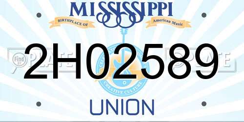 2H02589 Mississippi License Plate