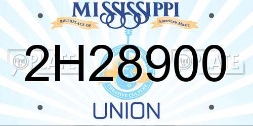 2H28900 Mississippi License Plate