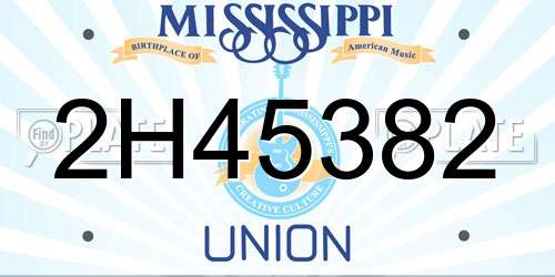2H45382 Mississippi License Plate
