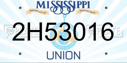 2H53016 Mississippi License Plate
