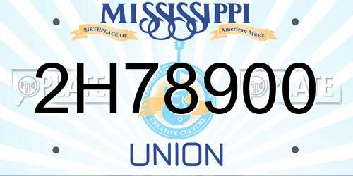 2H78900 Mississippi License Plate