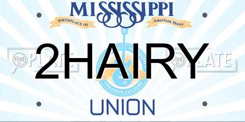 2HAIRY Mississippi License Plate