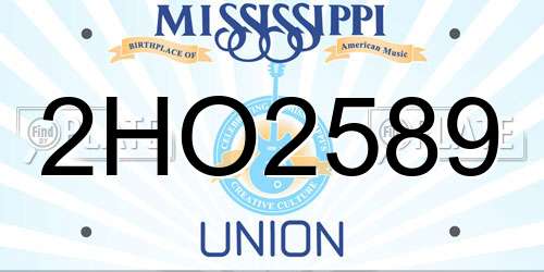 2HO2589 Mississippi License Plate