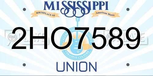 2HO7589 Mississippi License Plate