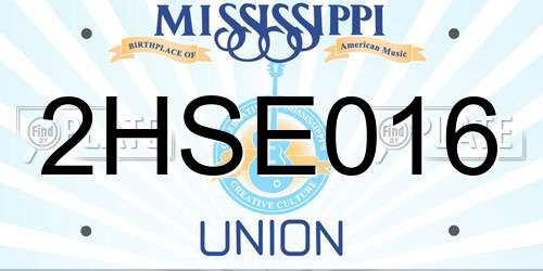 2HSE016 Mississippi License Plate