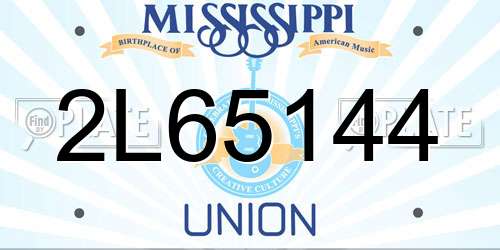 2L65144 Mississippi License Plate
