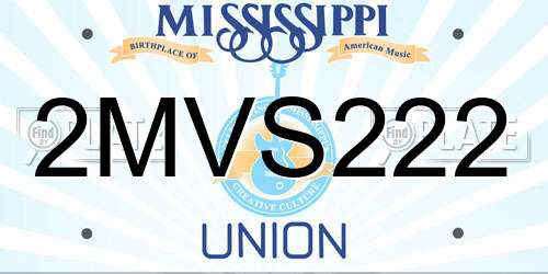 2MVS222 Mississippi License Plate