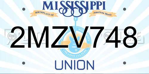 2MZV748 Mississippi License Plate