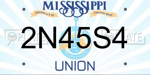 2N45S4 Mississippi License Plate