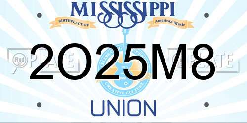 2O25M8 Mississippi License Plate